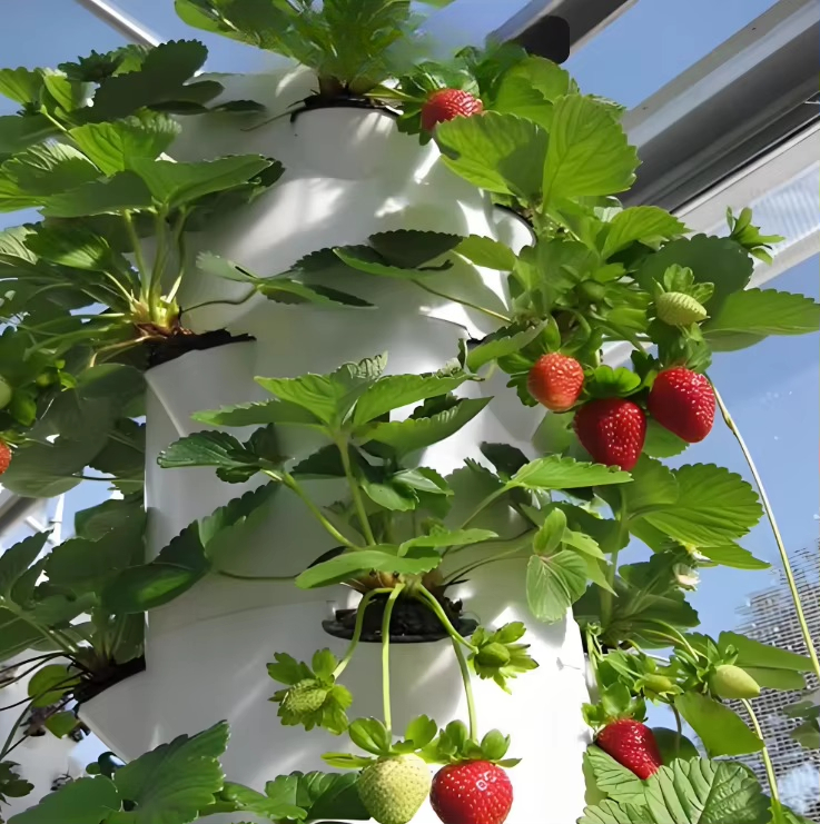 ระบบปลูกพืชแบบไฮโดรโปนิกส์แบบโ - Urban Farming Gardening บทวิจารณ์และราคา