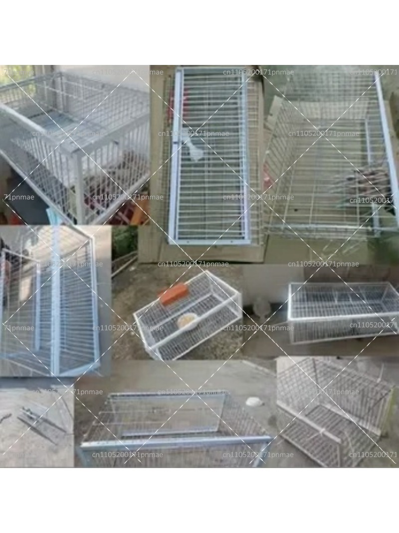 กรงดักนกพิราบอเนกประสงค์สำหรับ - Urban Farming Gardening บทวิจารณ์และราคา